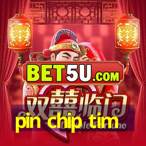 pin chip tim